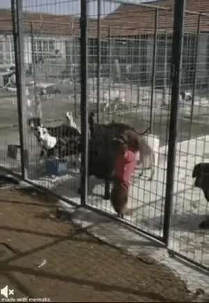 노력이 재능을 이기지 못하는 이유