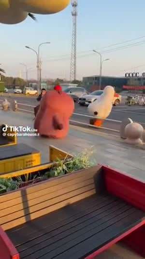 어! 이게 아닌데...