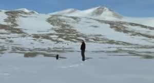 해외에서 유행했던 외로운 펭귄 밈...jpg