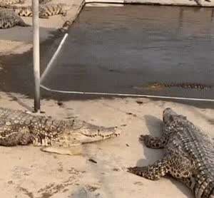 이번역은 신도림..신도림 역입니다. 내리실 문은..gif