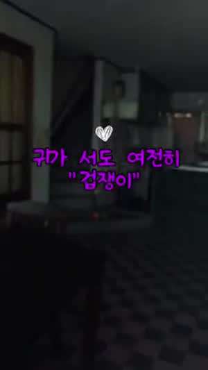 귀가 서도 겁 많은 여수 돌산읍에 사는 진돗개 삼순이