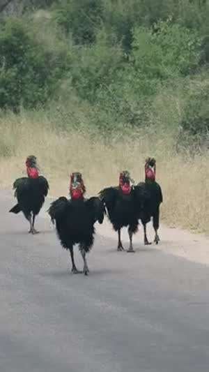 길가는데 무서운 애들 만남.