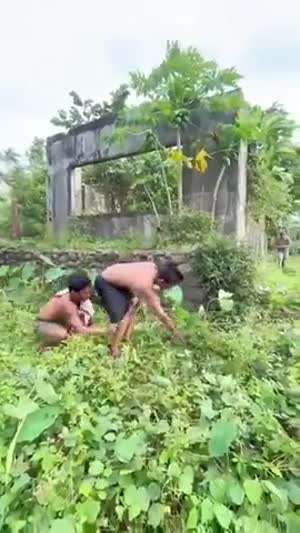 게이 아닙니다. 오해라구요!