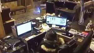 고슴도치 사망 현장