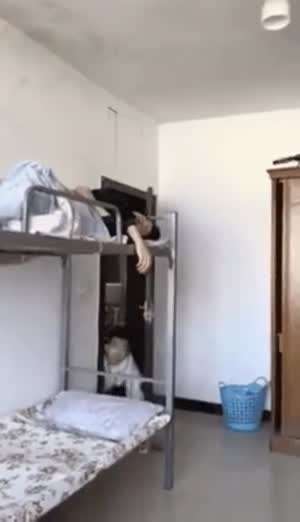 재밋어 죽건네!!