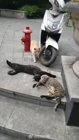 불륜 현장 포착