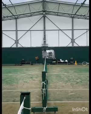 테니스 레전드 비매너 플레이