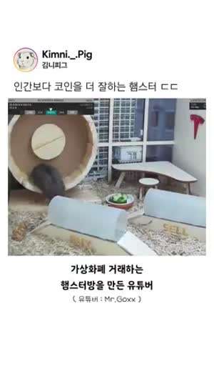 햄스터로 코인주문한 사람결말