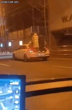 7인승 아반떼 출시