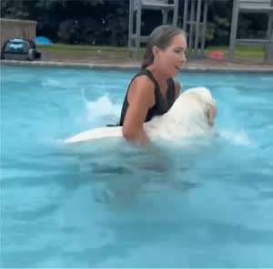 말 드럽게 안 듣는 강아지.