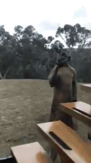 유리때문에 집안에 들어오지 못하는 무서운...