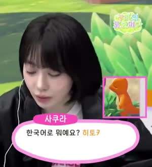 포켓몬의 한국 이름에 당황한 사쿠라.mp4