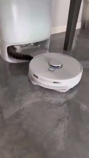 집을 뺐긴 로봇청소기