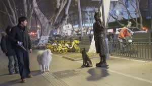 놀래서 심장마비올뻔한 댕댕이