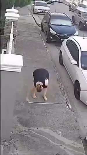 요즘같이 삭막한 분위기에 소소한 인류애 즐거움 충전