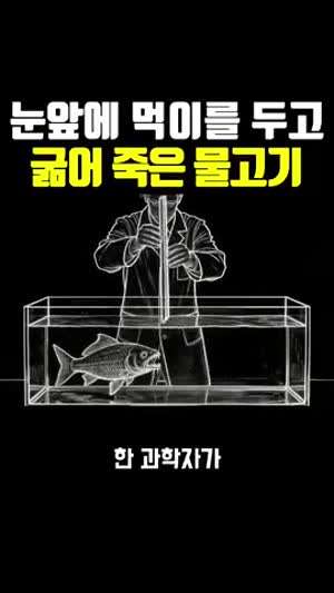 동기 부여? 파이크 증후근?