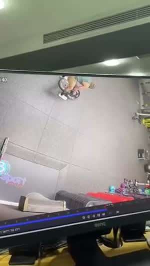 노련한 트레이너