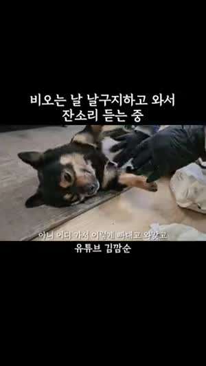 비오는 날 날구지하고 와서 잔소리 듣는 중