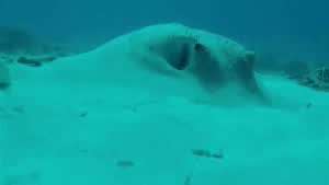 내가 가스불을 끄고 나왔던가??