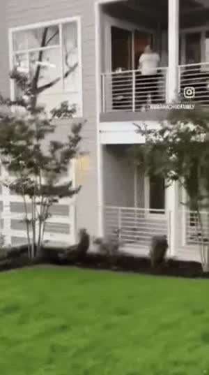 구경은 역시 싸움 구경이 최고