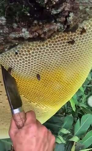 소리] 칼 손잡이 왜 저럼?.mp4