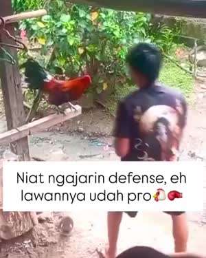 제 2의 파퀴아오를 준비하는 유망주