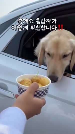 휴게소 통감자가 위험한 이유