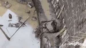 푸룬주스를 마셨을때 생기능 일