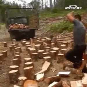 일당 50만원....나무꾼...