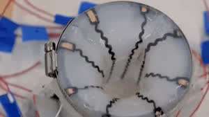 1200만원짜리 휴머노이드 구매하시겠습니까?