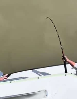 희귀한 물고기와 만난 낚시꾼