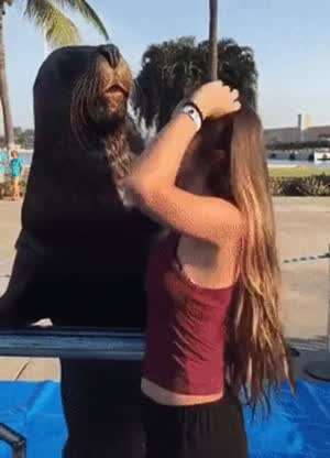 관광지 프로 직원.gif