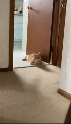 공포영화 클리셰.mp4