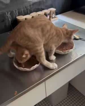 뭔가 위화감 느끼는 식사 자세