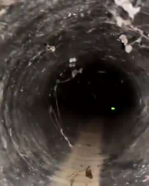 모습을 드러낸 괴물의 정체는....