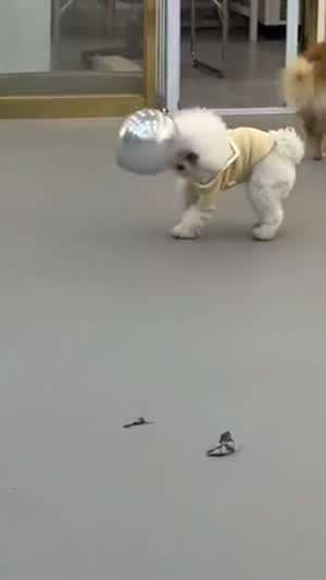 떨어지지 않고 왜 이러는거야??