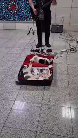 길거리공연 1열