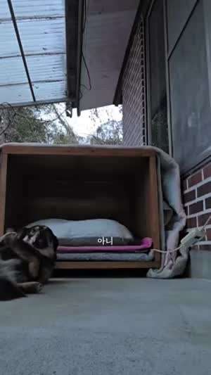 아 왜 이렇게 새거 적응하는데 시간이 걸린대유? 으ㅔ?