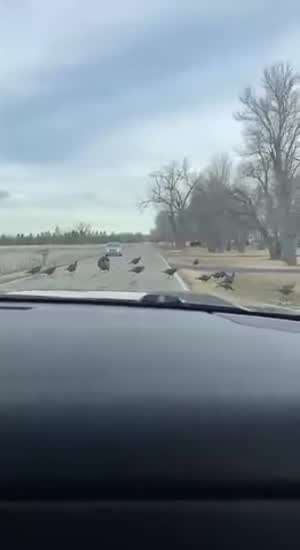 조류도 알며 행하는 리더의 자세