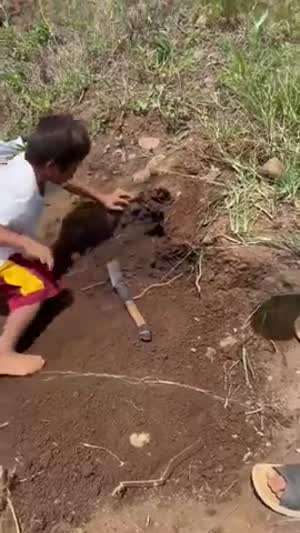 크게 될 싹수가 보이는 꼬맹이