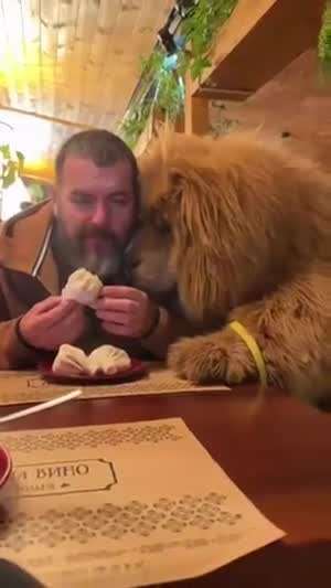 쥔넘 물어버리지 않고 침만 삼키는 착한 개