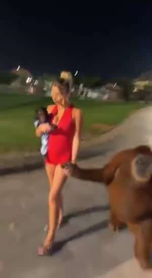 너는 좀 마자야쓰거따