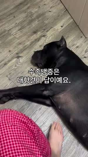 수족냉증이 있으신분