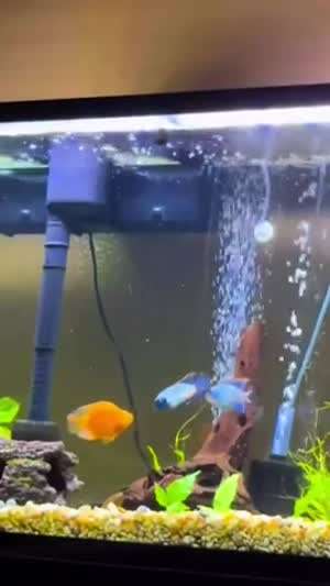 우린 동족이야!