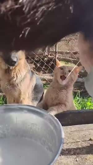 우유 조아조아!!