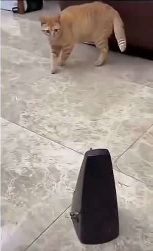 깜짝!! 깜짝!! (소리나게 해주세요)