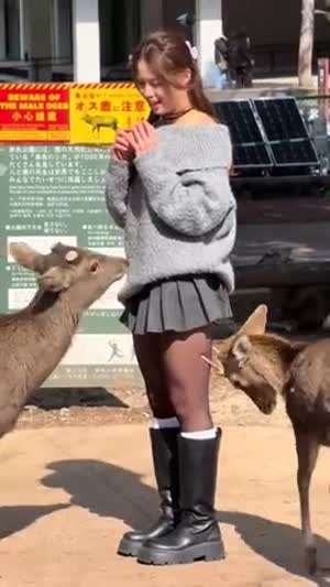 이노마들 숫컷 맞져?