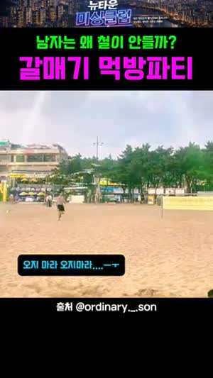 갈매기 인간고문 새우깡 파티.youtube