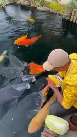 이런거는 첨봅니다