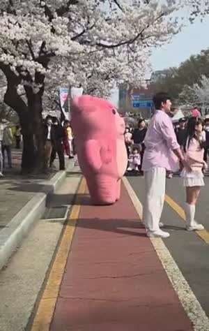 치어리더 커플 보다 신기한 곰 탈 인형좌.mp4